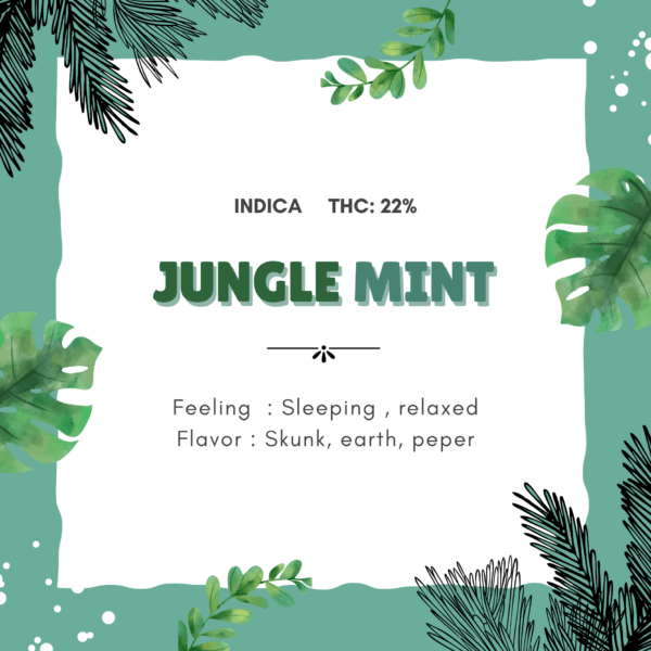 Jungle Mints
