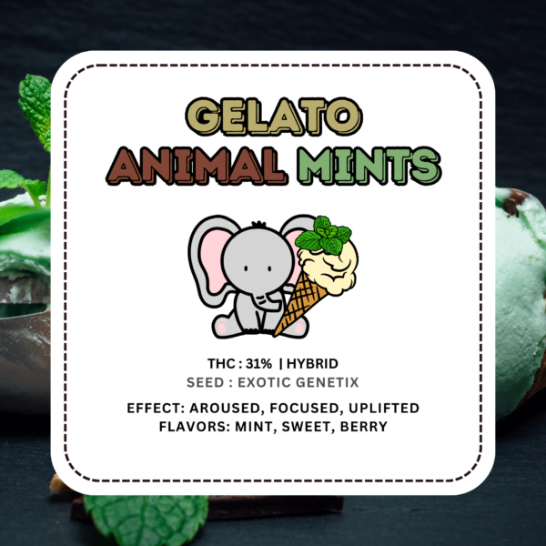 Gelato Animal Mints