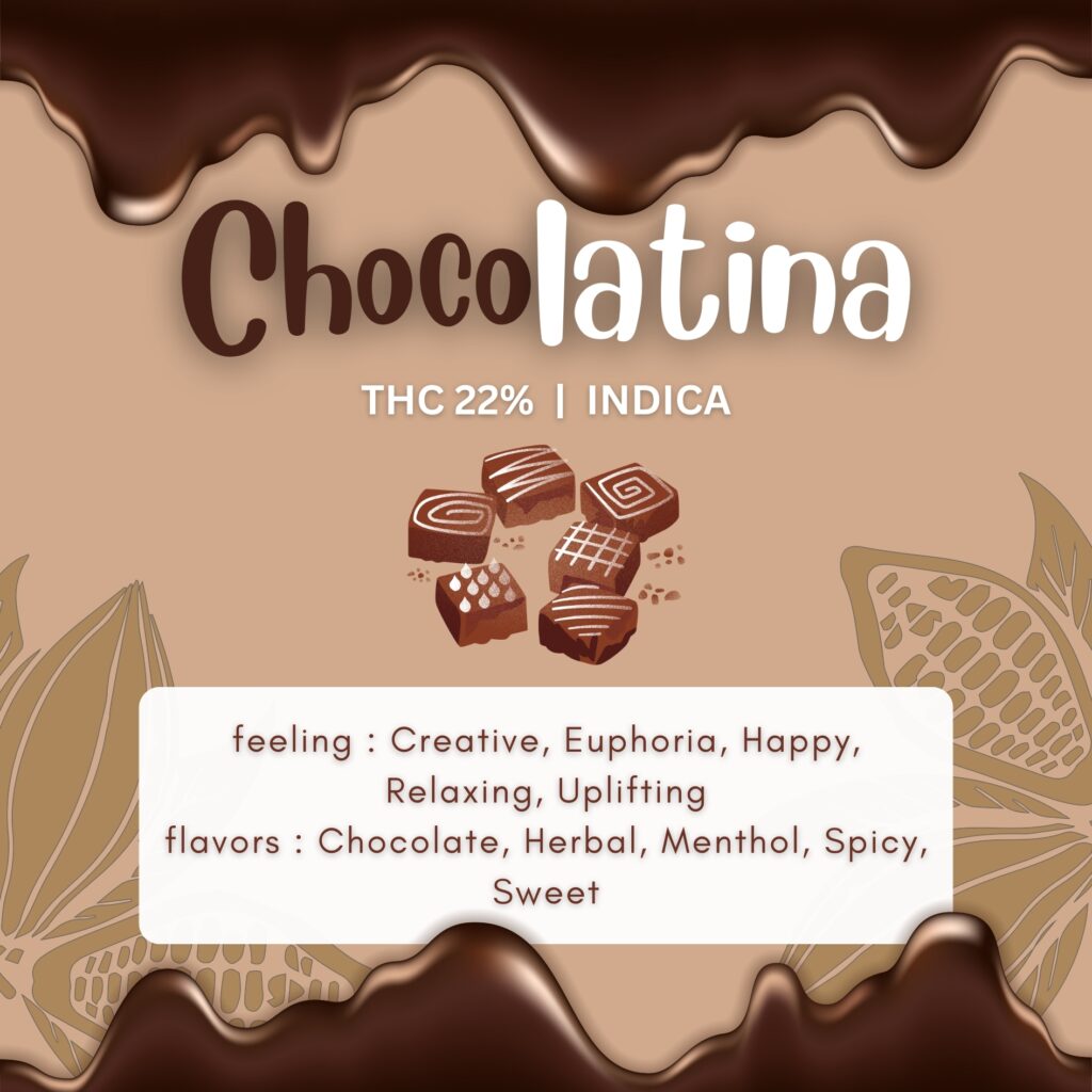 Chocolatina