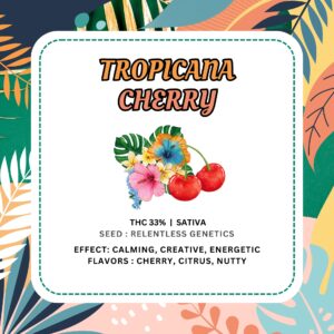 Tropicana Cherry