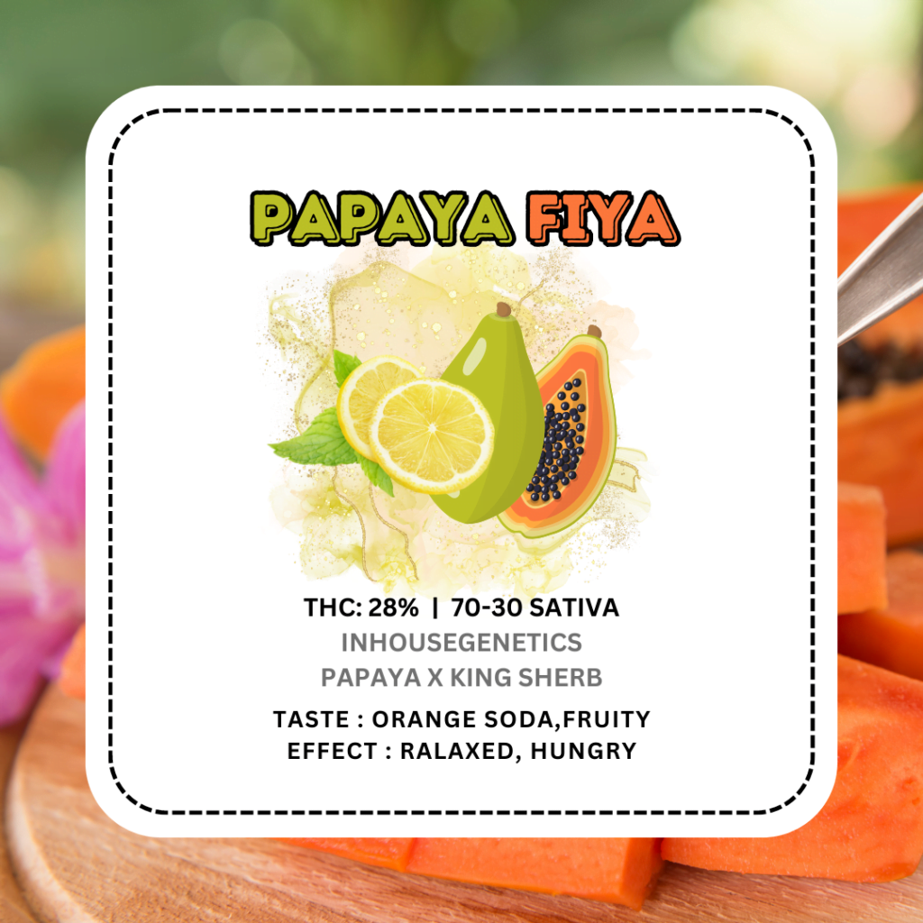 Papaya Fiya