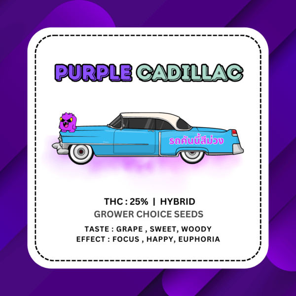 Purple Cadillac