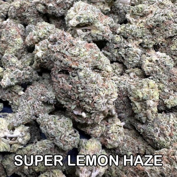 Super Lemon Haze 1