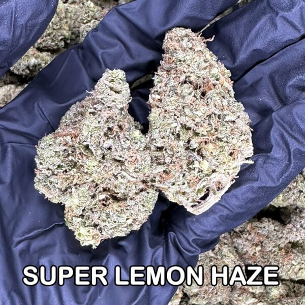 Super Lemon Haze 2