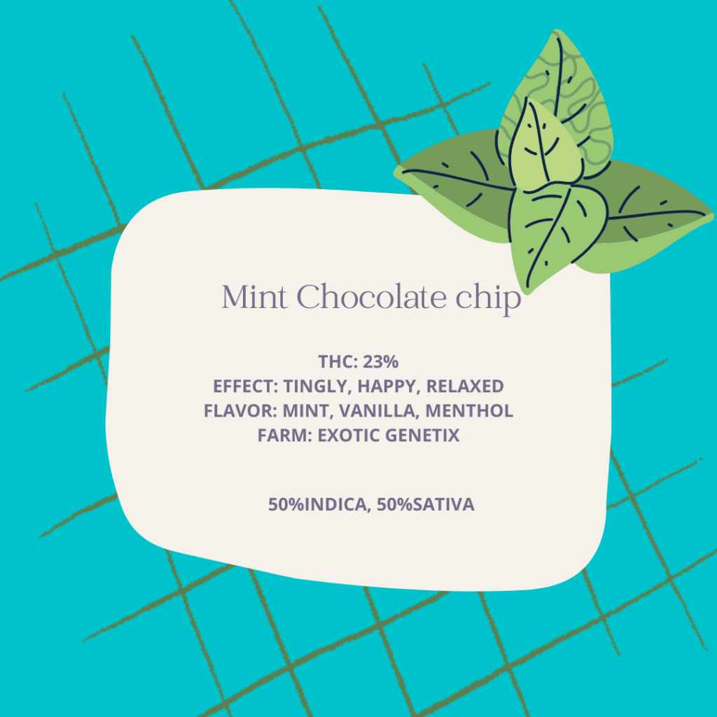 Mint-Chocolate-chip