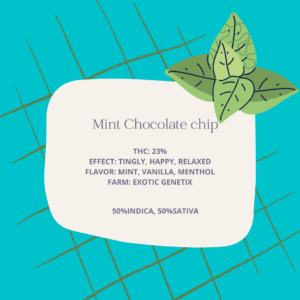 Mint-Chocolate-chip
