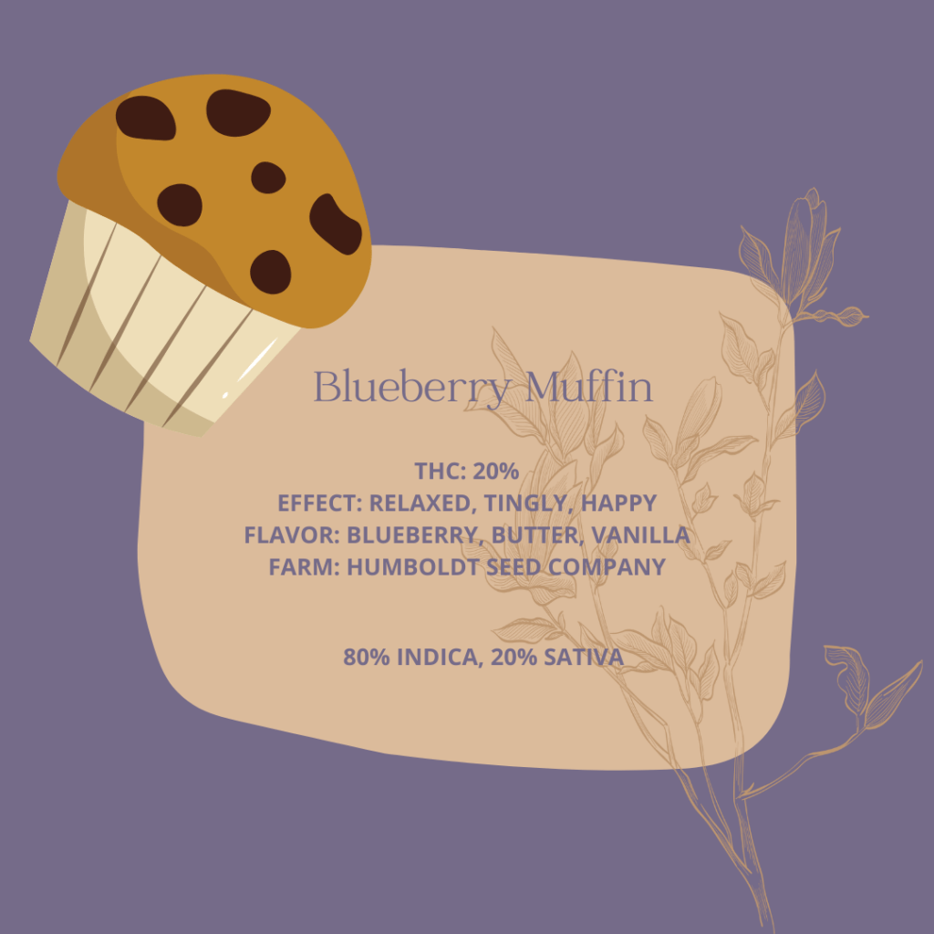 Blueberry-Muffin