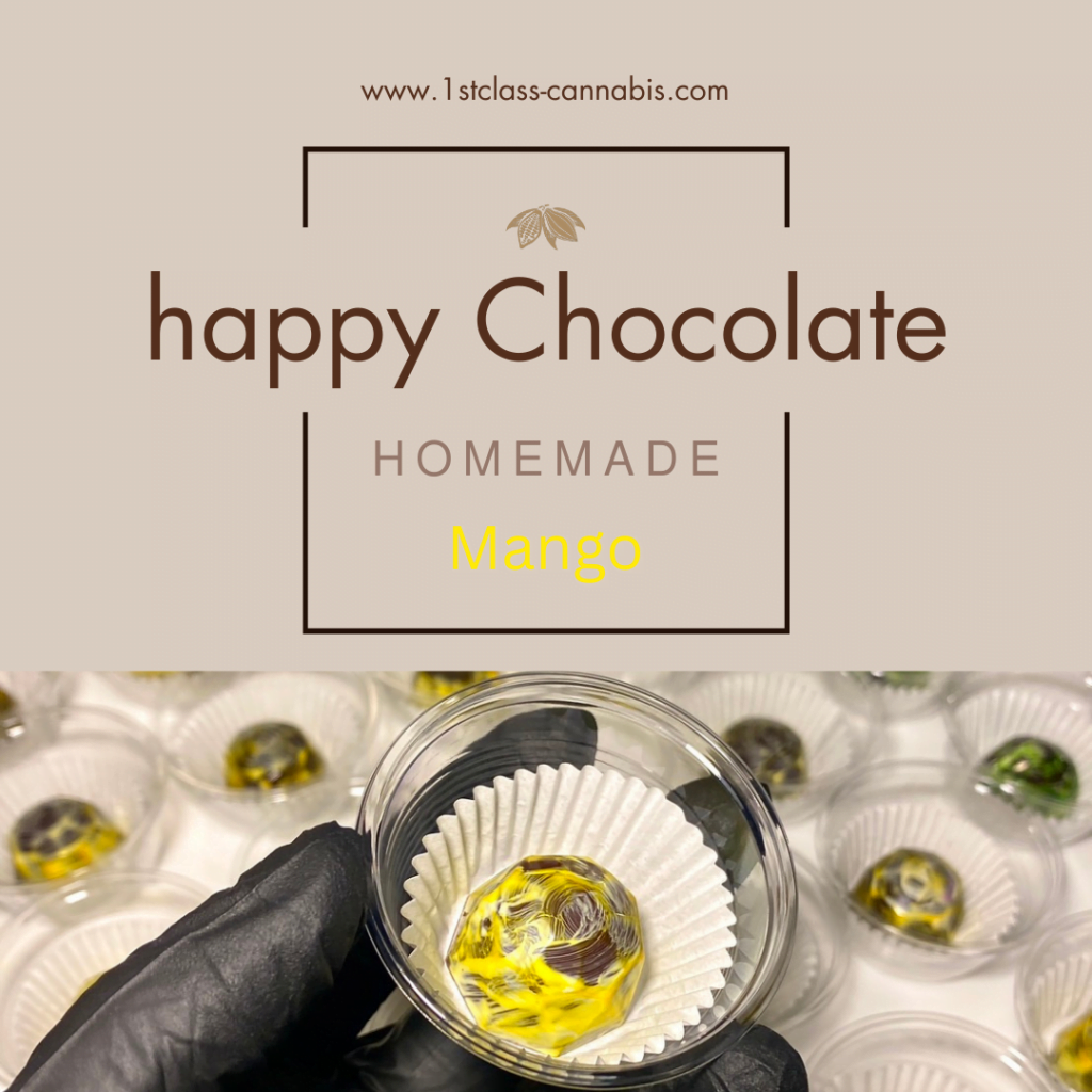 happy chocolate4