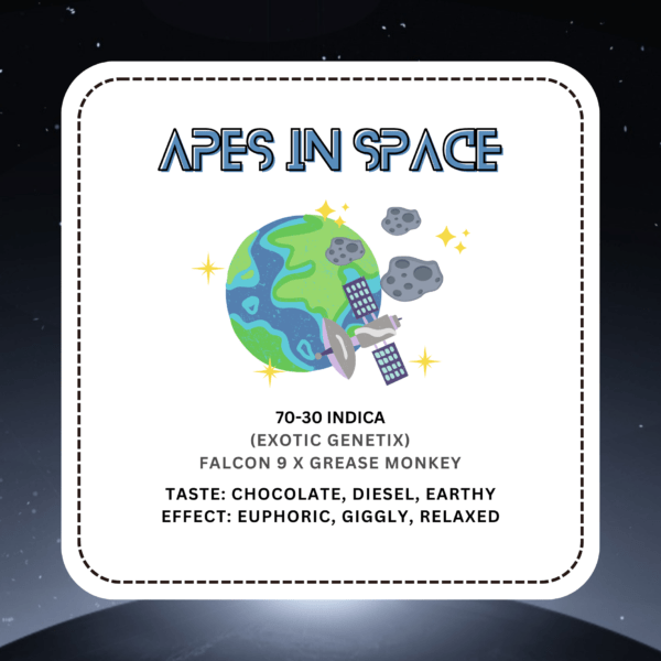 Apes in Space