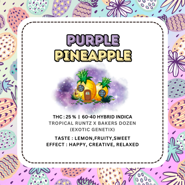 Purple Pineapple