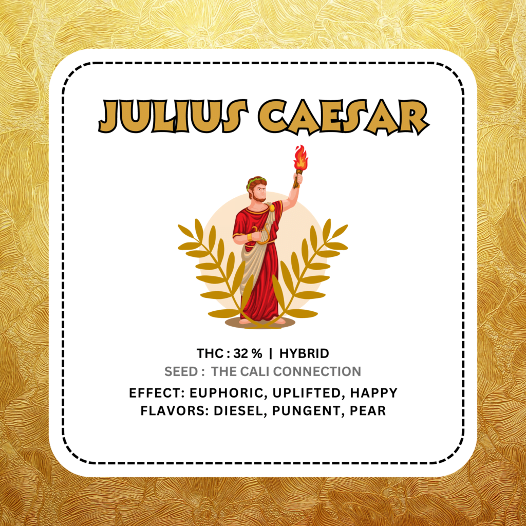 Julius Caesar