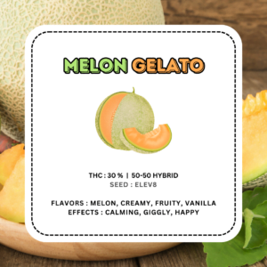 Melon Gelato