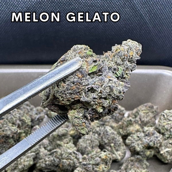 Melon Gelato 1