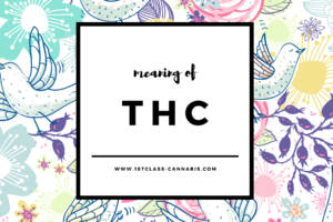 Meaning-of-THC