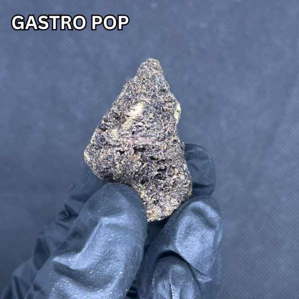 Gastro Pop 1