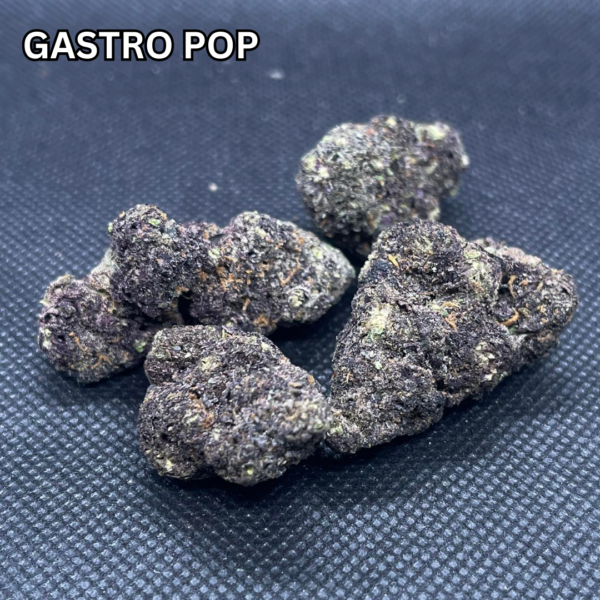 Gastro Pop 2