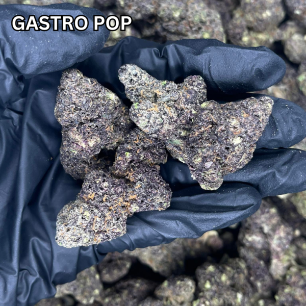 Gastro Pop 4