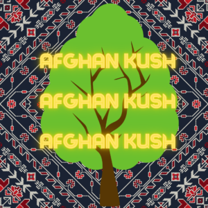 Afghan-Kush