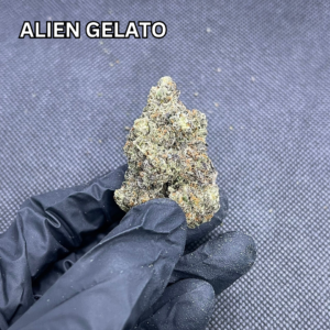 Alien-Gelato-1