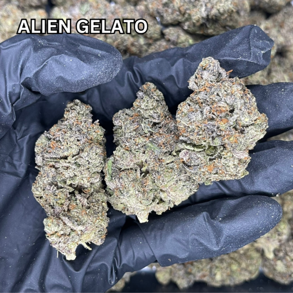 Alien-Gelato-3
