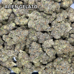 Alien-Gelato-4