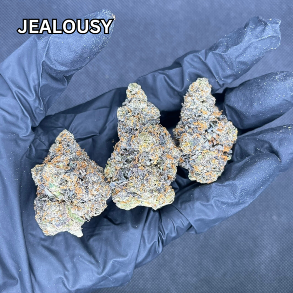 jealousy-3