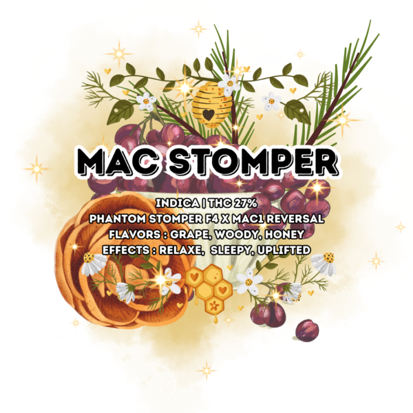 Mac-Stomper-11