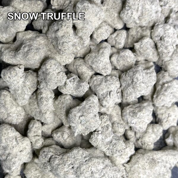 Snow-Truffle-1
