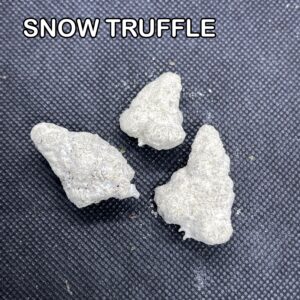 Snow-Truffle-2