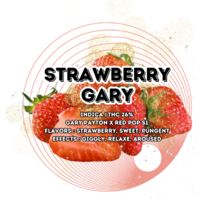 Strawberry-gary