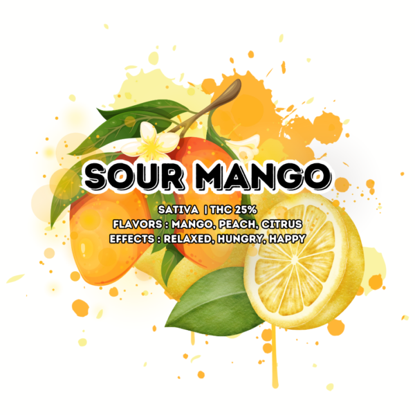 sour-mango